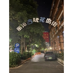 丽港古玩花鸟街